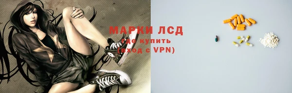 стаф Магадан