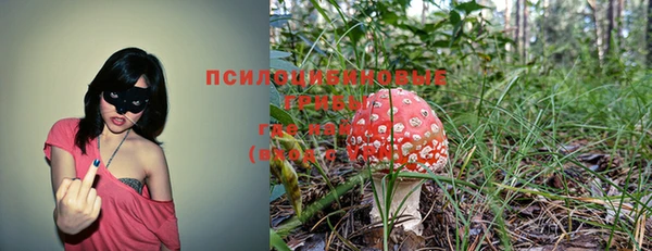 стаф Магадан