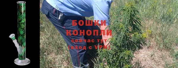 стаф Магадан