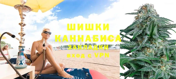 стаф Магадан