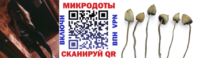 Псилоцибиновые грибы ЛСД  omg   Александровское  как найти наркотики 